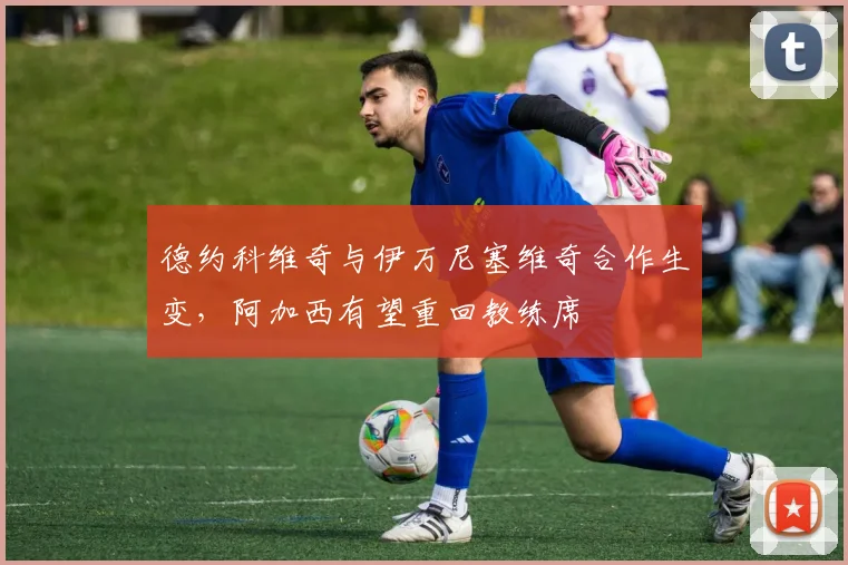 德约科维奇与伊万尼塞维奇合作生变，阿加西有望重回教练席